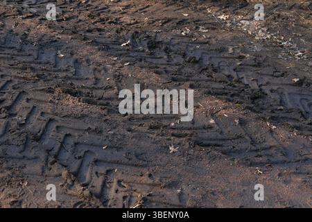 Tire tracks of truck on muddy field or dirt road after rain. Driving in bad conditions. Seasonal car maintenance. Vehicle ability in different weather Stock Photo