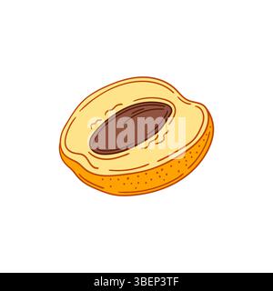 Cute fruit illustration in hand draw style. Apricot icon on white background. Design Stock Vector