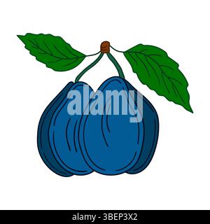 Cute fruit illustration in hand draw style. Design for postcards, flyers, banners. Plum icon on white background. Icon Stock Vector