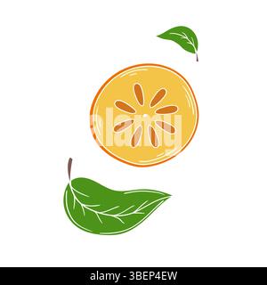 Cute fruit illustration in hand draw style. Persimmon on white background. White outline. Design Stock Vector
