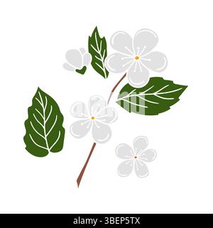 Cute fruit illustration in hand draw style. Apricot flower on white background. White outline. Design for postcards, flyers, banners. Icon, sign, stic Stock Vector
