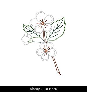 Cute fruit illustration in hand draw style. Apricot flower icon on white background. Color outline. Design for coloring books, children's educational Stock Vector