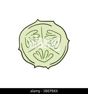 Cute vegetable illustration in hand draw style. Cucumber icon on white background. Design Stock Vector