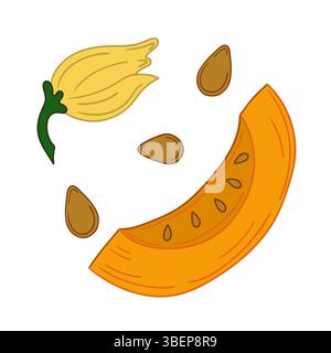 Cute vegetable illustration in hand draw style. Pumpkin icon on white background. Design for postcards Stock Vector