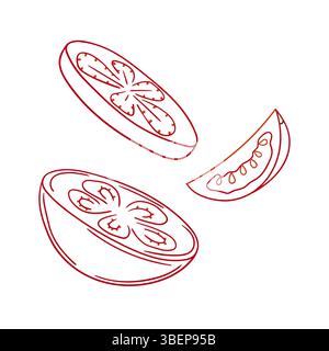 Cute vegetable illustration in hand draw style. Tomato icon on white background. Color outline. Design for postcards Stock Vector