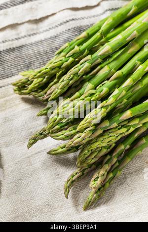 Raw Green Organic Asparagus Spears Ready to Cook Stock Photo