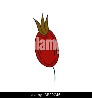 Cute flower illustration in hand draw style. Rosehip icon on white background. Design for postcards, flyers Stock Vector