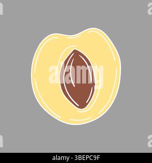 Cute fruit illustration in hand draw style. White outline. Apricot icon on gray background Stock Vector
