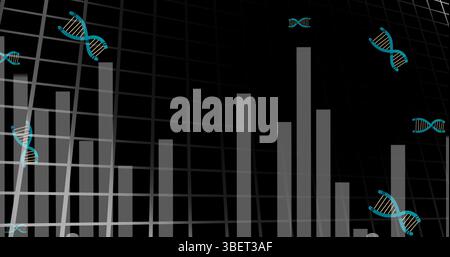 Digital image of multiple dna structures over statistical data processing on black background Stock Photo