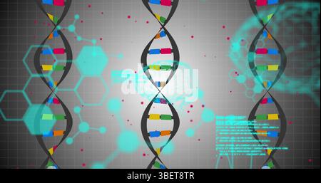 Image of medical data processing over white background Stock Photo