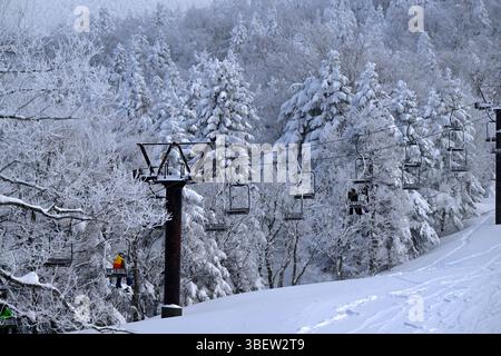 Snow covered trees atop Mount Zao at the Zao Ski Resort, Yamagata prefecture, Japan,Asia. Stock Photo