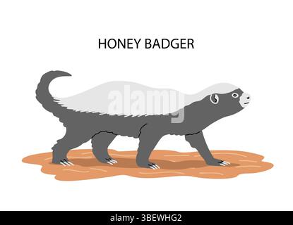 Honey badger side view Stock Vector