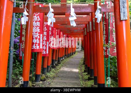 Red torii gates and fluttering banners line a peaceful path through the ...