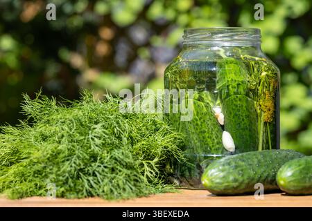 Homemade Pickled Cucumbers Jar With Dill Stock Photo