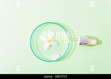 Dropper pipette and petri dish with jasmine flower and drops of oil on light green background. Cosmetic laboratory research concept. Top view, flat la Stock Photo