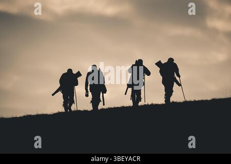 A silhouette of guns with their guns and walking sticks towards the next drive on a pheasant shoot in UK Stock Photo
