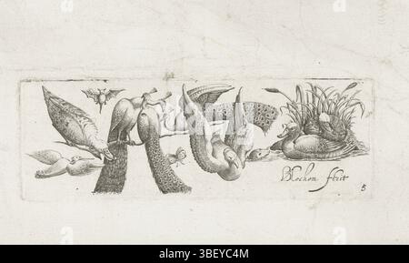 Amsterdam, Visscher, Claes Jansz. (II), Janssen, Hans, Lochom, Bartholomeus van, Frisians with birds, Eight birds, Amsterdam, Birds, ducks and three peacocks, a bat, butterfly and a marter., print, ornament prints, prints, height 44 mm, width 130 mm, 1607, printmaker, 1630 - 1630, second quarter 17th century, paper, engraving, engraving (printing process), Work conception, 1605, according to design, Publication (Event), Publication, Northern Netherlands, 1586 - 1652-06-19, publisher Stock Photo