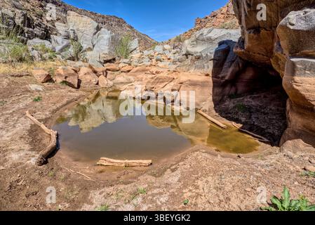 An ephemeral pool of water in the granite riverbed of the Agua Fria River Canyon in the Agua Fria National Monument of Arizona. Stock Photo