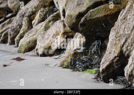 Rocky beach Stock Photo