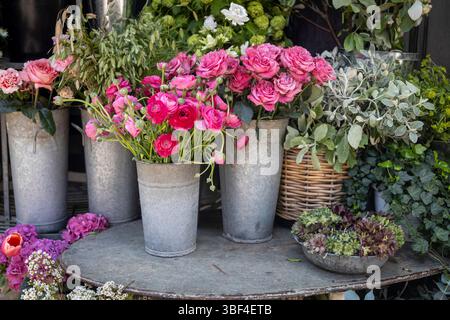 Pink roses and various plants in metal buckets and a basket. Stock Photo