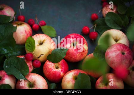 Fresh ripe colorful apples on green rustic background Stock Photo