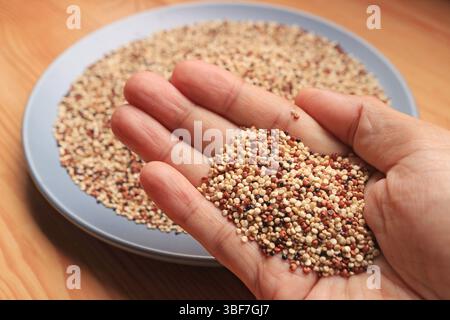 Closeup of Dried Tricolor Uncooked Quinoa, Seeds Packed with Nutrients Called Mother of all Grains by the Incas Stock Photo