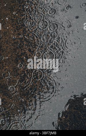 Raindrops hitting a puddle and creating soft ripples on the water surface during a calm rainy day. Stock Photo