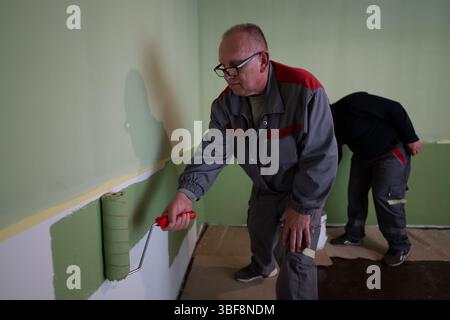 Mature worker painting a green wall wearing a uniform and using a roller in a renovation task Stock Photo