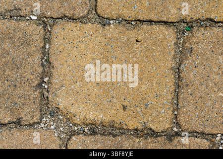 A close-up view of paving stones. The pavers are tan with visible aggregate, separated by lines filled with small stones. Stock Photo
