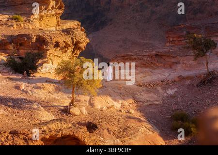Petra, Jordan - November 3, 2022: Bedouin man walking in sandstone canyon, rocks formations landscape Stock Photo