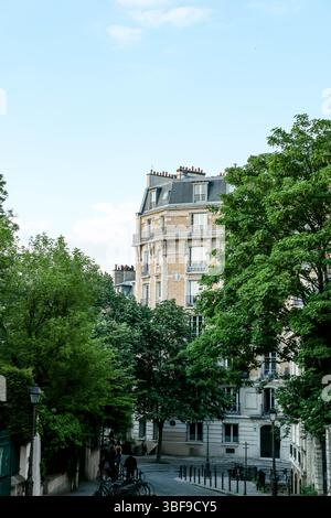 A view looking up a Parisian street towards the upper floors and roofline of a classic Haussmann-style apartment building, framed by large, leafy gree Stock Photo