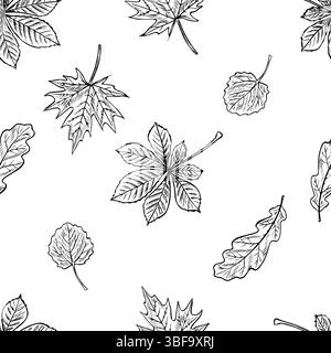 Seamless pattern of leaves from different trees, maple, oak, chestnut and aspen. Vector graphics. Black and white hand-drawn illustration. On a white Stock Vector
