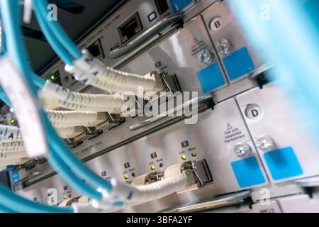 Detailed close-up view of network equipment, showcasing cables and connections on a server. The image highlights technology and data management in dig Stock Photo