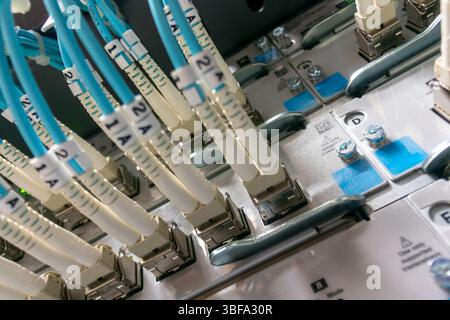 Close-up view of fiber optic cables connected in a data center, showcasing modern technology and advanced networking infrastructure for seamless commu Stock Photo