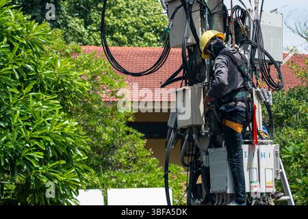 A technician performs maintenance on an elevated platform amidst greenery, showcasing the importance of safety and expertise in utility work. Stock Photo