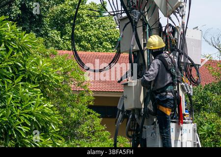 A technician works on an electric pole, managing various cables in an urban setting. The scene showcases essential maintenance and safety practices in Stock Photo
