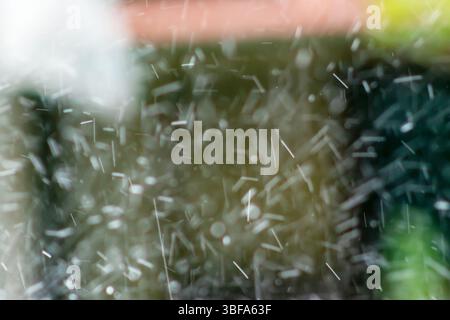 Captivating image of snowflakes falling in an urban environment, showcasing a blurred background that creates a serene winter atmosphere. Perfect for Stock Photo