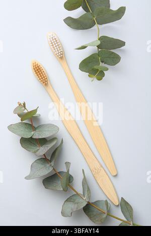 Bamboo toothbrushes and eucalyptus branches on white background, flat lay Stock Photo