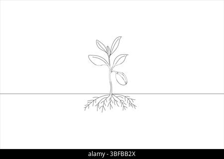 Simple line drawing of a growing plant showing roots, stem, leaves, and growth Stock Vector