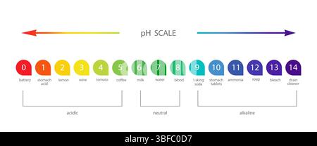 PH Scale. Acid and alkaline indicator. Chemical analysis or test. Education Poster. Vector illustration in flat style Stock Vector