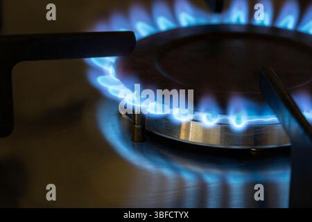 Close up of a blue natural gas flame on a cooker hob, UK. Concept: cost of living, energy cap, winter fuel payments, UK energy, gas bill, energy bills Stock Photo