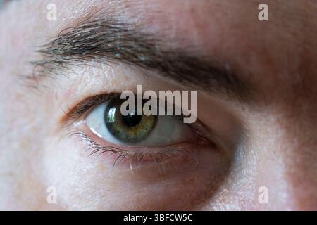 Closeup of the eye of a man in his forties, England. Concept: dementia test, glaucoma, eye health, moody, eye scan, intense stare, eye test Stock Photo
