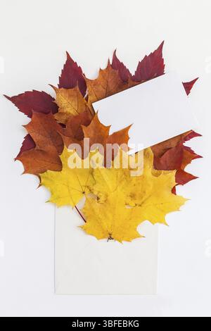 Creative Top view flat lay autumn concept composition. Envelope dried bright autumn leaves white paper background copy space. Template mock up fall th Stock Photo