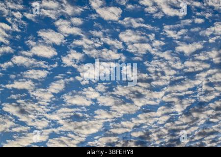 little-fluffy-clouds-3bfehy8.jpg