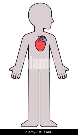 Cartoon human body silhouette with anatomical heart. Cardiovascular health, feelings and emotions. Vector clipart illustration. Stock Vector