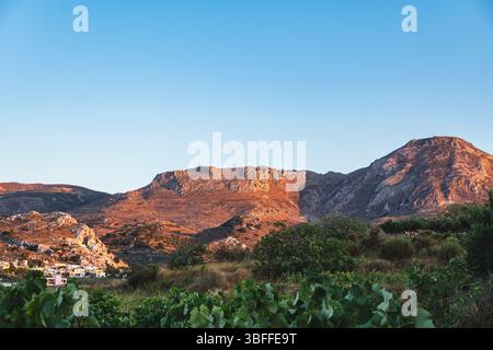 Landscape with vineyards against a backdrop of mountains illuminated by the setting sun during the evening Stock Photo