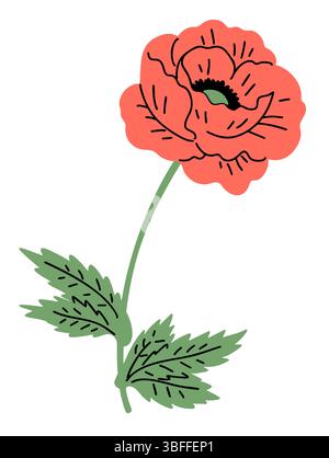 Flower red poppy. Wild decorative beautiful plant. Flora and nature. Vector illustration isolated on white background Stock Vector