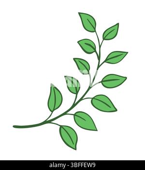 Green twig of rasteria or tree. Decorative element for design and decoration of cards, invitations and flyers. Vector art illustration isolated on whi Stock Vector