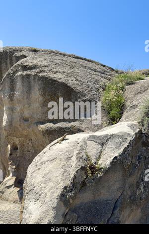 Lizard basking on a rock in a sunny rocky landscape, natural habitat, closeup wildlife scene, bright daylight. No people. Stock Photo