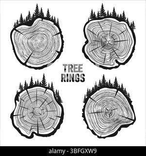 Round tree trunk cuts with trees and forest. Sawn pine or oak slices, lumber. Saw cut timber, wood. Brown wooden texture with tree rings. Hand drawn Stock Vector